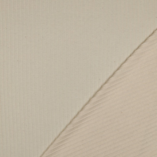 Punto rib jersey big natural