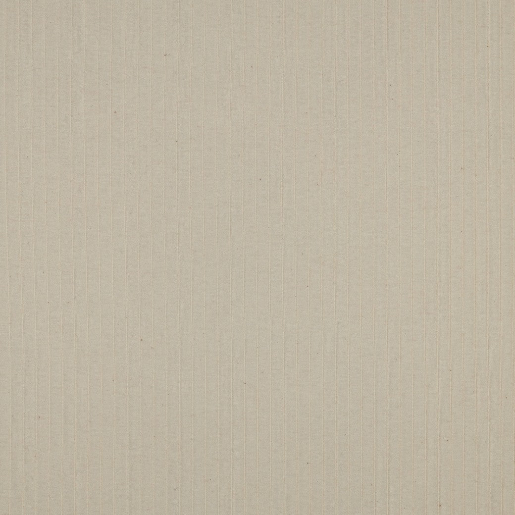 Punto rib jersey big natural