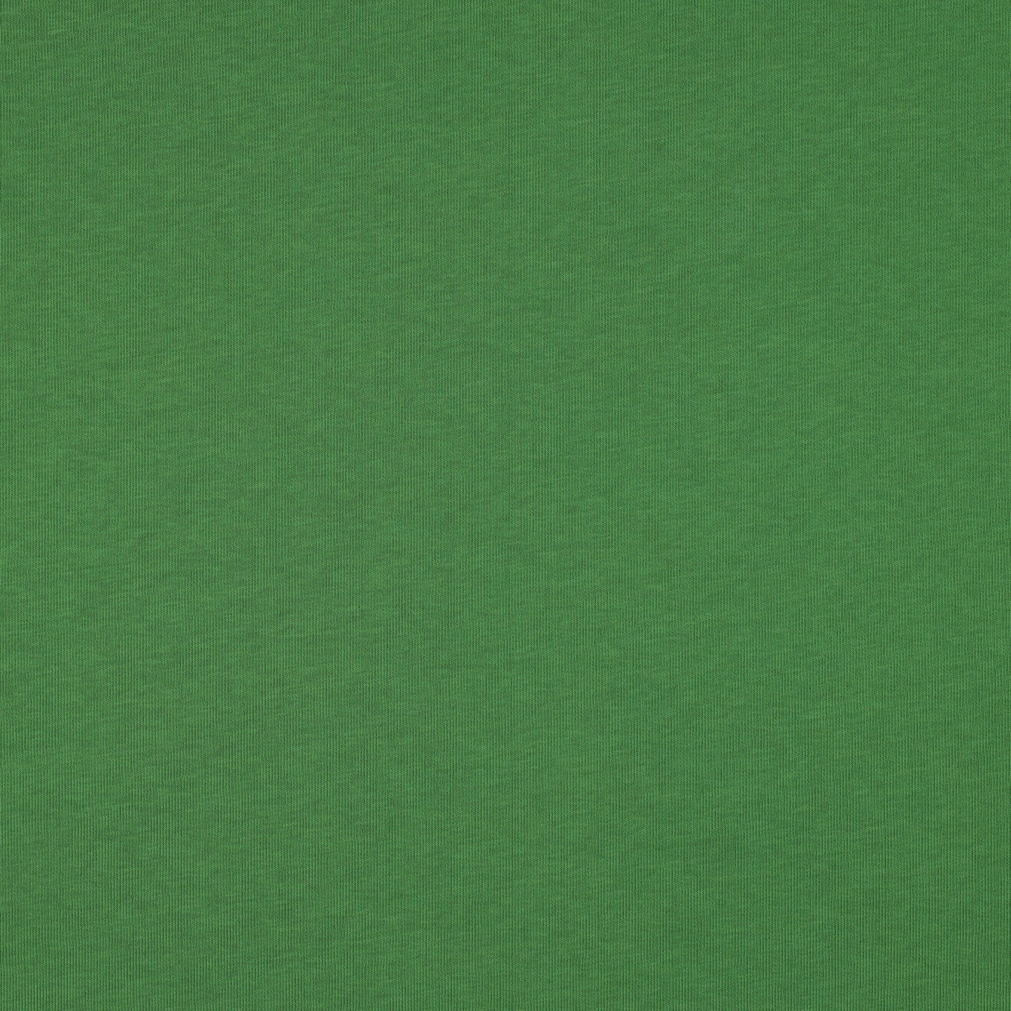 *TR* Sudadera afelpada verde